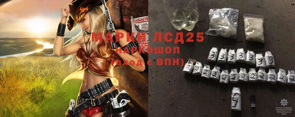 ПСИЛОЦИБИНОВЫЕ ГРИБЫ Алзамай