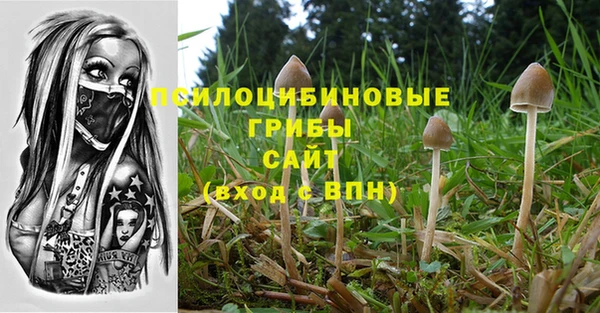 ПСИЛОЦИБИНОВЫЕ ГРИБЫ Алзамай